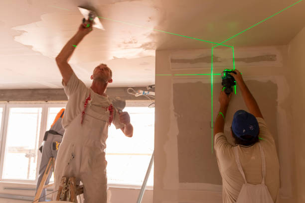 Best Environmental Consulting for Mold Prevention  in Tonto Basin, AZ