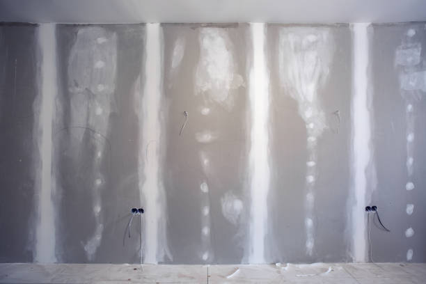 Best Commercial Mold Inspection  in Tonto Basin, AZ